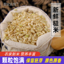 Brown rice fresh rice Shanxi specialty Wutaishan germ nutritious rice 250g green stomach new brown rice