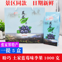Panqiao Tujia blueberries Hunan Zhangjiajie specialty blueberry plum fruit candied preserved fruit Dried fruit Leisure snacks Snacks