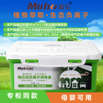 The pasta and other cabins such as sea-stone flower negative ion oxygen bar Peculiar Smell Net Taste Green Leaf Mellow Auto Except Formaldehyde