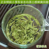 Spot Anji white tea Mingchen premium 250g 2021 new tea Alpine origin rare spring tea