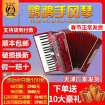 Parrot accordion 8 32 48 60 96 120 bass 3 row 4 row Reed beginner grade test performance