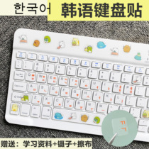 Korean keyboard stickers Korean cartoon cute keyboard film Notebook desktop letter stickers key stickers single