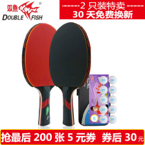 Pisces table tennis racket official double-shot 2 straight-up horizontal shot beginner student training suit offense