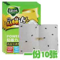 Sticky flies flies and mosquitoes flies cockroaches ants centipedes small flying insects sticky plates strong glue