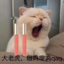 UKISS Yuksi eyelash primer raincoat styling slender long curl long non-dizzy brush head to send Eyelash Curler