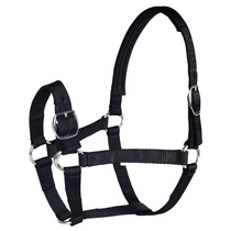 Bridle Lead Bridle harness Equestrian supplies Rocky harness 8218001