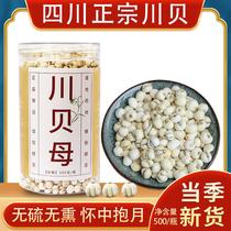 Sichuan Beichuan fritillary without smoked Sichuan Sichuan Begrain Sichuan Bright powder Childrens primary Sichuan Baie Traditional Chinese Medicine Fritillaria 500 gr