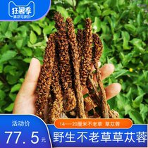 Daxinganling Cistanche bulk new goods Wild ageless grass column Chinese medicine brewing wine material Dried mountain bud rice 500g
