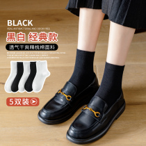 Black socks female midbarrel socks Summer thin pure cotton 2021 New fit leather shoes pile with lefu shoes