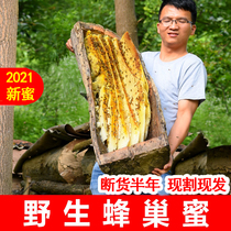 21 years old honeycomb honey Wild Qinling soil honey pure natural farm produce old honeycomb flower nectar chew and eat