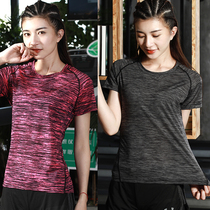 Outdoor quick-drying t-shirt womens ice silk short-sleeved elastic breathable running quick-drying clothes Male couple quick-drying sports fitness t-shirt