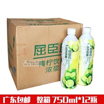 Watsons Lime Drink Concentrate Watsons Lime Juice Concentrate Lemonade 750ml*12 Full Carton
