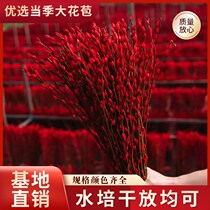 Silver Willow real flowers New year flowers dried flowers fresh branches can be hydroponic indoor living room decoration bouquet flowers Chinese red 80cm
