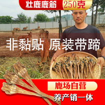 Maple deer tendon dry Jilin with hoof original deer tendon main tendon men's soup with deer whip sparkling wine half a kilo