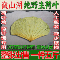 Weishan Lake lotus leaf tea dry lotus leaf pure whole natural wild new lotus leaf chicken lotus leaf reverse can be matched with winter melon grass tea