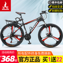 Shanghai Phoenix brand mountain bike mens cross-country variable speed racing to work riding shock absorption bike Adult female adult