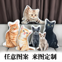 Tanabata gift to map custom pillow diy cat pet photo cat head pillow dog shaped 3d cat cushion