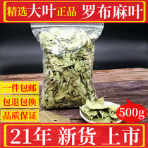 Apochus leaf wild Chinese herbal medicine fresh goods bulk Xinjiang special apornum tea 500g healthy sulfur-free