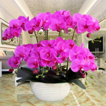 Phalaenopsis simulation flower feel PU decorative flower set home living room decoration coffee table TV cabinet porch fake flower