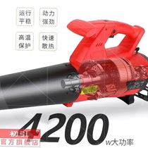 Leaf blowing machine blower dust cleaning machine 220V powerful portable high-power blower