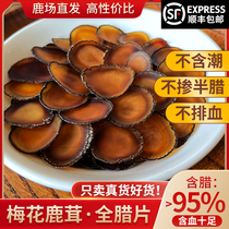 Lubaotang plum deer antler whole wax slices soup wine special medicinal materials Deer Farm straight hair wax tablets