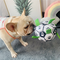 Fat dog pet toy football toy ball relief artifact training molar interactive ball elasticity bite resistance