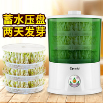 Bean sprouts machine household automatic large-capacity household hair bean teeth wit can Raw Mung bean sprouts machine seeds four kinds