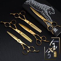 Jungle Leopard Jazz gold professional haircut hair scissors Flat tooth incognito thinning hair stylist special set