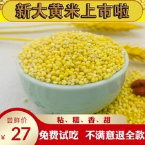Authentic Datong farmhouse rhubarb Rice new rice millet yellow clay Rice coarse grains 3 Jin special soft yellow rice