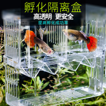 Guppies breeding box fish tank fish fry incubator isolation box small fish incubator box large acrylic fish egg spawning room