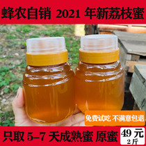 Lingnan Guangdong Litchi Honey Farmers Self-produced Pure Natural Honey Wild Longan Honey Conghua Honey Blind Honey