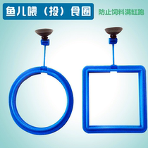 Fish tank feeding ring Aquarium feeder Suspended feeding ring Fish feed fixed-point floating feeding ring
