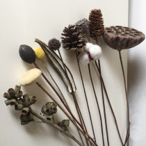  Pine cones dried flowers showered cotton retro style simple home decoration living room decoration small daisies eucalyptus leaves