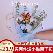 Roses dried flowers Simple small fresh living room home decoration ornaments starry cotton Eucalyptus leaf bouquet