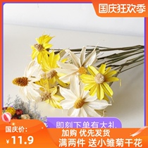 Wenxin orchid dried flower bouquet hipster living room home decoration ornaments eternal flower shooting props small daisy