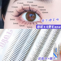 Moon Baby Princess Fish Tail A Type Gross Underlashes Combined With Fake Eyelash Fairy Hair Single Tuft Natural Emulation Graft