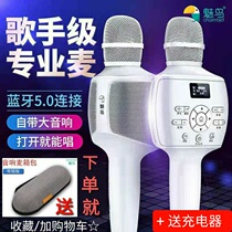Meitao CA-2 smart screen audio microphone TV national K Songbao mobile phone live wireless Bluetooth all-in-one microphone