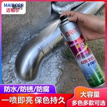 Anti-rust paint metal gas pipe stainless steel paint small cans silver black white gold hand-cranked self-spray graffiti multi-purpose