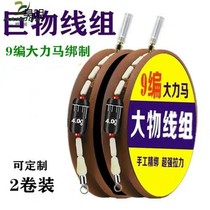 Finished product tied Dali horse fishing line main line set 9 series PE fishing line herring line set