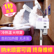 Taidong hot and cold sprayer beauty instrument Beauty salon hot spray steaming face device Hot and cold double spray face repair spa instrument Household