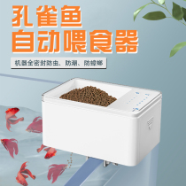 Automatic Fish Feed Peacock Small Intelligent Spending Feed Fish Bottle Time Fish Eat Tropical Fish Mini Fish