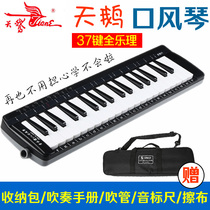 Swan All-Music 37 Keyhole Organ Lotte Gauge Student Teaching Competition Children Adult Professional Harmonica