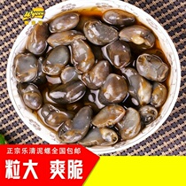 Instant mud snail big crisp Yueqing special product Jinwei fresh mud snail drunk yellow mud snail 220g seafood aquatic Rice Rice