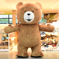 Net red inflatable teddy bear doll costume Douyin same polar bear real person wearing promotion campaign giant panda suit