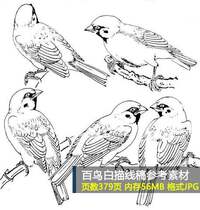 96 Birds Atlas Hundred Birds Hundred Birds Hundred White Line Drawing Manuscript Electronic Picture Reference Material Set 2