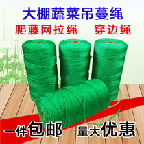 Greenhouse cucumber tomato hanging seedling rope Tomato hanging vine rope Climbing rattan net pull rope Anti-aging plastic rope Agricultural
