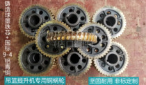 Copper worm gear 3 15M casting ductile iron core national standard 9-4 aluminum bronze for electric hanging basket hoist base
