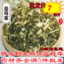 Wild Motherwort 500g Dried motherwort Chinese herbal medicine Yimurus Artemisia Motherwort Aikungrass