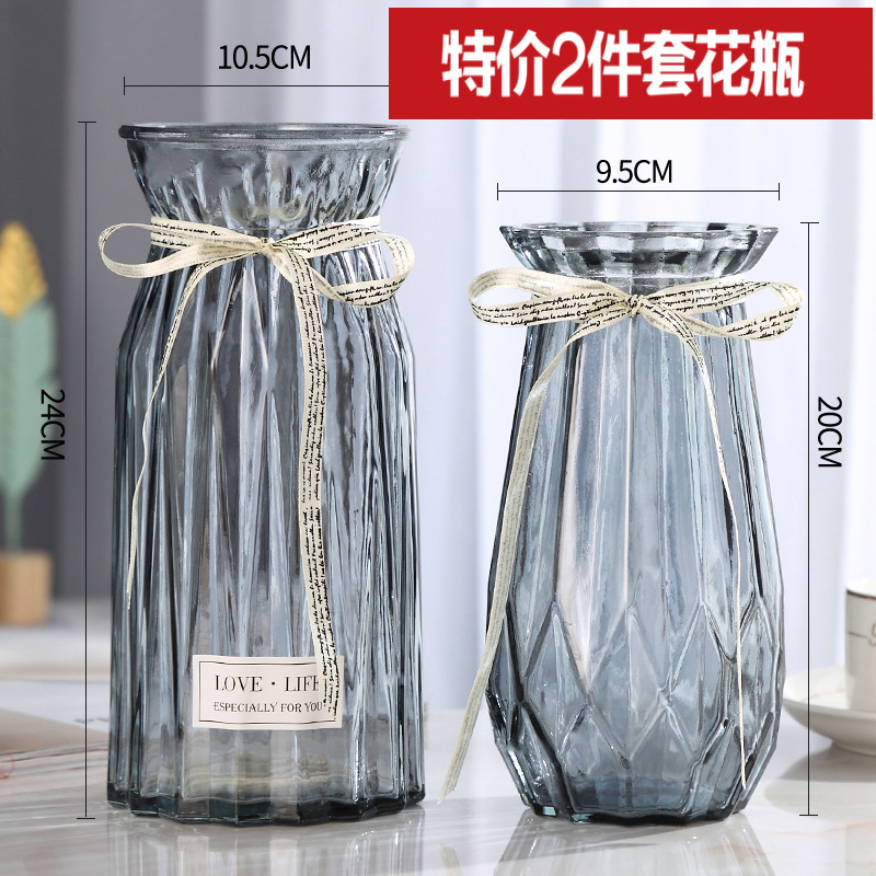 (Two-piece set) European glass vase transparent colored hydroponic plant vase living room decoration ornamental vase
