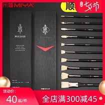 Mia Black Knight Gouache fan-shaped pen set for art students Special gouache oil painting pen Acrylic brush Little bird one pen One world Birdman brush tool set Painting brush hook line pen Mia